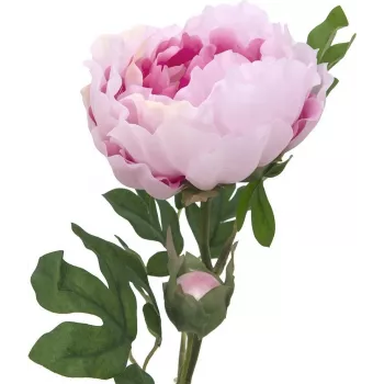 EUROPALMS Peony Branch Classic, umelá rastlina, ružová, 80cm 82530210