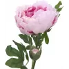 EUROPALMS Peony Branch Classic, umelá rastlina, ružová, 80cm 82530210