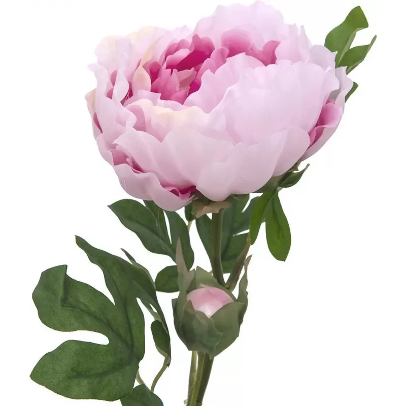 EUROPALMS Peony Branch Classic, umelá rastlina, ružová, 80cm 82530210