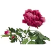 EUROPALMS Premium pivóniová vetva umelá rastlina, magenta, 100cm 82530221