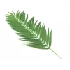 EUROPALMS kokosové palmové listy, umelé, 110cm, balenie 12 ks 82509897
