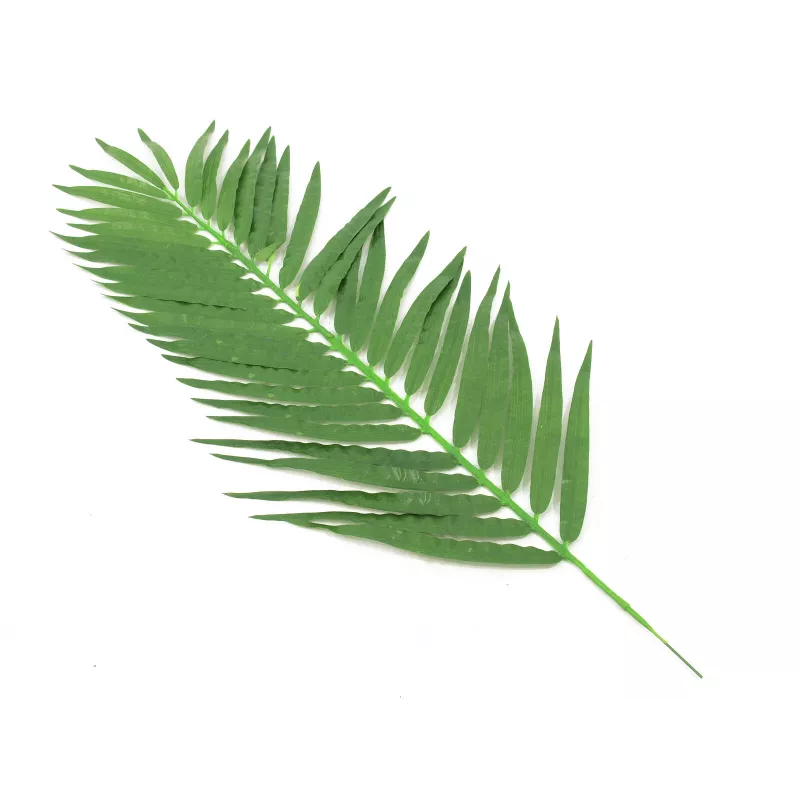 EUROPALMS kokosové palmové listy, umelé, 110cm, balenie 12 ks 82509897