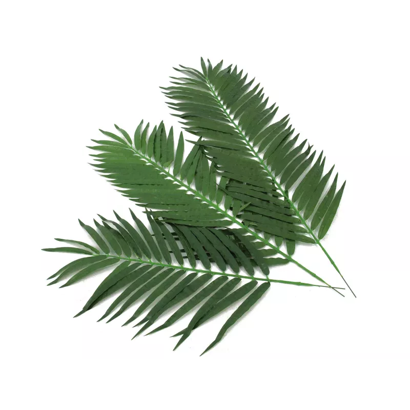 EUROPALMS kokosové palmové listy, umelé, 110cm, balenie 12 ks 82509897