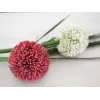 EUROPALMS umelá stonka allium, červená, 55cm 82530568