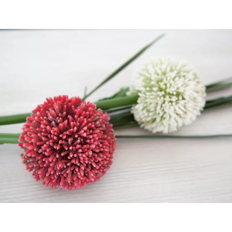 EUROPALMS umelá stonka allium, červená, 55cm 82530568