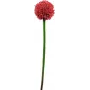 EUROPALMS umelá stonka allium, červená, 55cm 82530568