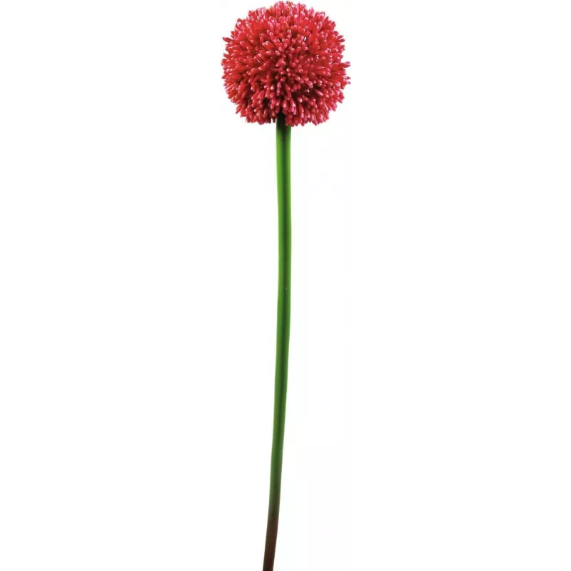 EUROPALMS umelá stonka allium, červená, 55cm 82530568