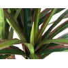 EUROPALMS umelá dračinec, 120 cm 82505779