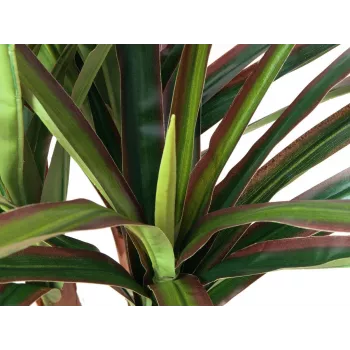 EUROPALMS umelá dračinec, 120 cm 82505779