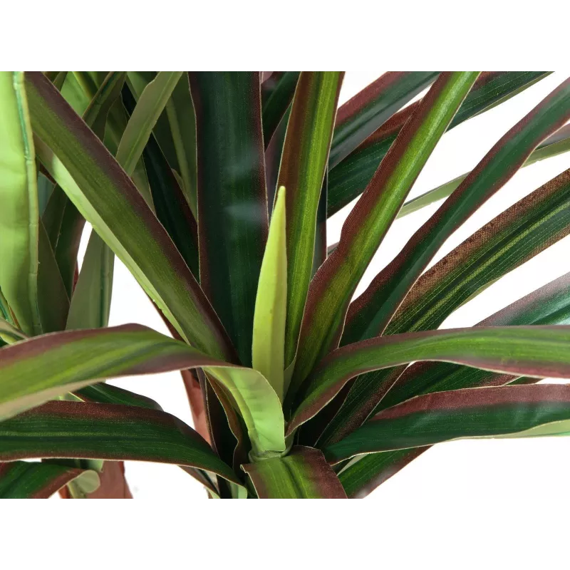 EUROPALMS umelá dračinec, 120 cm 82505779