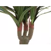 EUROPALMS umelá dračinec, 120 cm 82505779