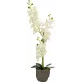 EUROPALMS orchidea umelá rastlina, krémová, 80 cm 82530361