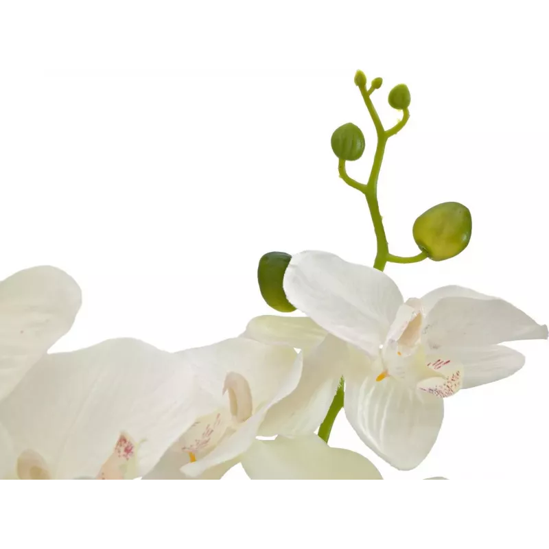 EUROPALMS orchidea umelá rastlina, krémová, 80 cm 82530361