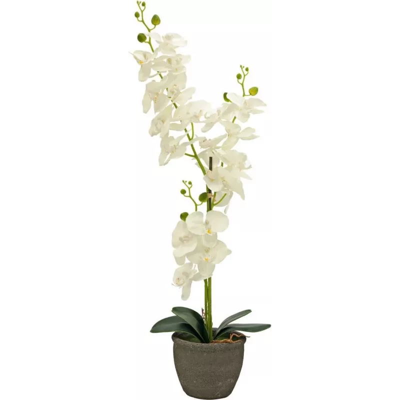 EUROPALMS orchidea umelá rastlina, krémová, 80 cm 82530361