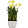 EUROPALMS umelý narcis, 23 cm 82530542