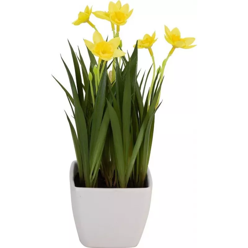 EUROPALMS umelý narcis, 23 cm 82530542