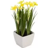 EUROPALMS umelý narcis, 23 cm 82530542