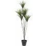 EUROPALMS Yucca palma umelá rastlina, 130 cm 82511552