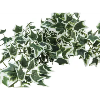 EUROPALMS Holland Ivy Bush Screen Classic, umelý, 70 cm 82502211