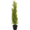 EUROPALMS Leyland cypřiš umelá rastlina, 90 cm, čierny kvetináč 82606962