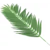 EUROPALMS umelé kokosové palmové listy, 90 cm, 12 ks, zelené 82509896