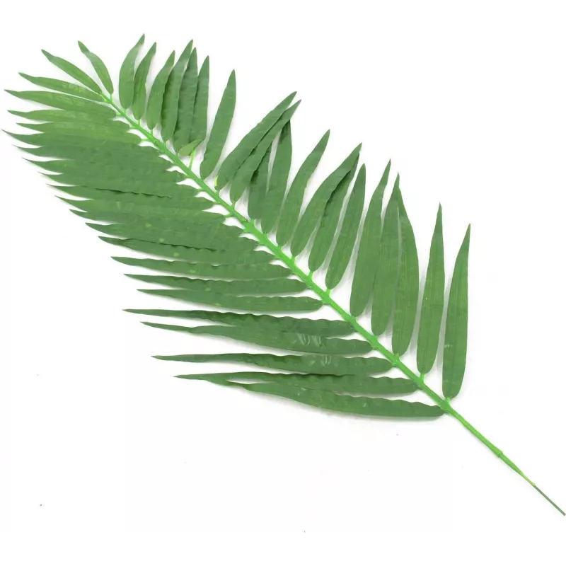EUROPALMS umelé kokosové palmové listy, 90 cm, 12 ks, zelené 82509896