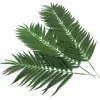 EUROPALMS umelé kokosové palmové listy, 90 cm, 12 ks, zelené 82509896