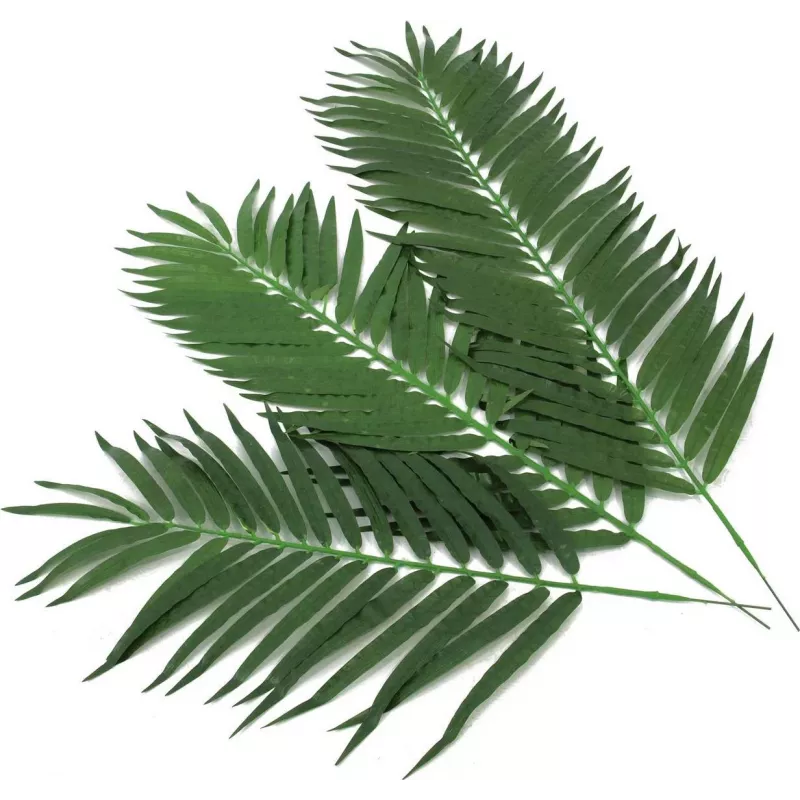 EUROPALMS umelé kokosové palmové listy, 90 cm, 12 ks, zelené 82509896