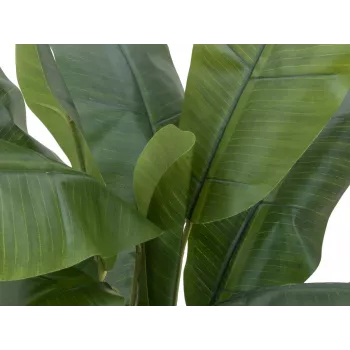 EUROPALMS umelý banánovník, 120 cm, realistické zelené listy, čierny kvetináč 82509537