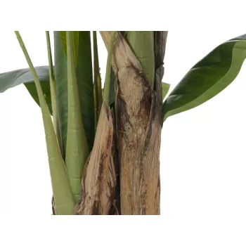 EUROPALMS umelý banánovník, 120 cm, realistické zelené listy, čierny kvetináč 82509537