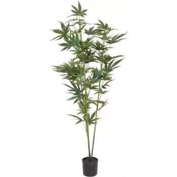 EUROPALMS umelá rastlina konope, 120cm, zelená, čierny kvetináč 82506693