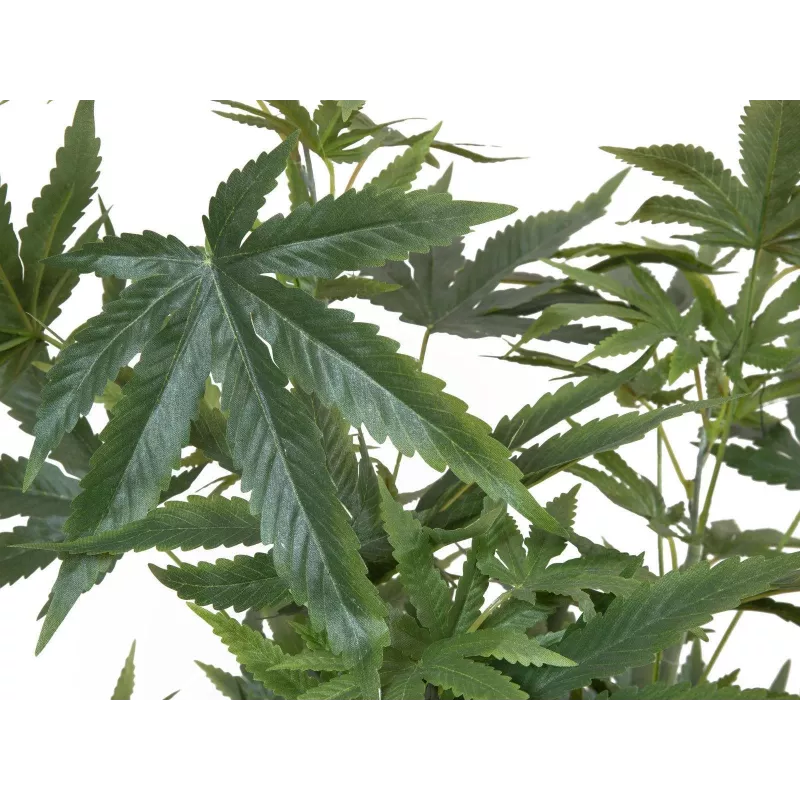EUROPALMS umelá rastlina konope, 120cm, zelená, čierny kvetináč 82506693