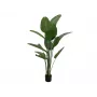 EUROPALMS umelá strelície, 170 cm 82540523