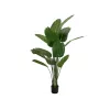 EUROPALMS umelá strelície, 170 cm 82540523