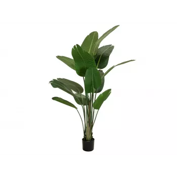 EUROPALMS umelá strelície, 170 cm 82540523