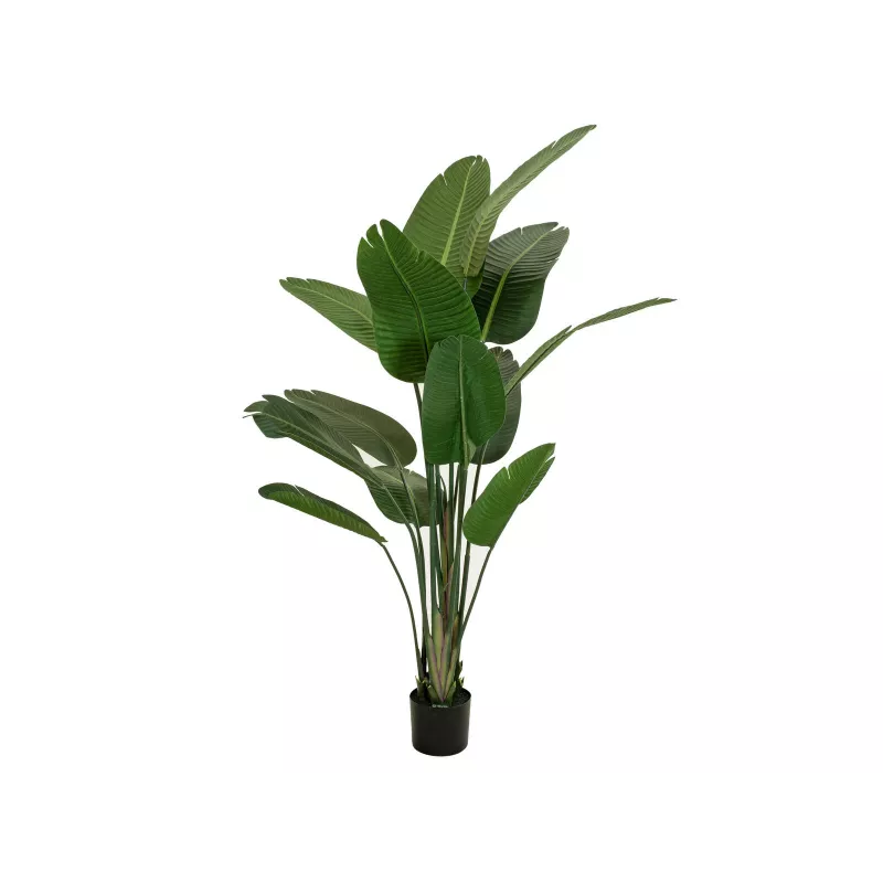 EUROPALMS umelá strelície, 170 cm 82540523