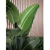 EUROPALMS umelá strelície, 170 cm 82540523