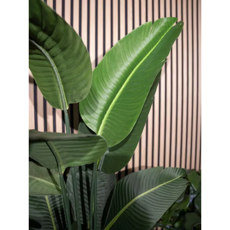 EUROPALMS umelá strelície, 170 cm 82540523
