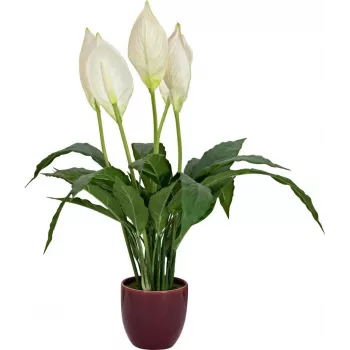 EUROPALMS umelá lopatkovec, 60 cm 82505660