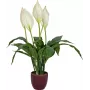 EUROPALMS umelá lopatkovec, 60 cm 82505660