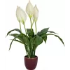 EUROPALMS umelá lopatkovec, 60 cm 82505660