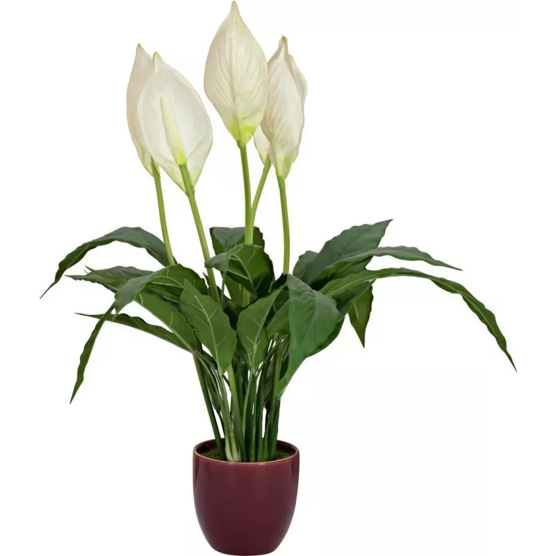 EUROPALMS umelá lopatkovec, 60 cm 82505660