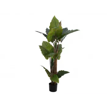 EUROPALMS Alocasia umelá rastlina, 140cm, zelená, čierny kvetináč 82508464