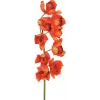 EUROPALMS vetva Cymbidium, umelá, červená, 90cm (82530315)