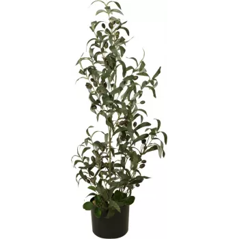 EUROPALMS umelý olivovník, 90 cm 82506422