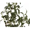 EUROPALMS umelý olivovník, 90 cm 82506422