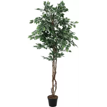 EUROPALMS strieborný fikus Benjamina umelá rastlina, 180 cm 82506116