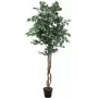 EUROPALMS strieborný fikus Benjamina umelá rastlina, 180 cm 82506116