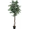 EUROPALMS strieborný fikus Benjamina umelá rastlina, 180 cm 82506116