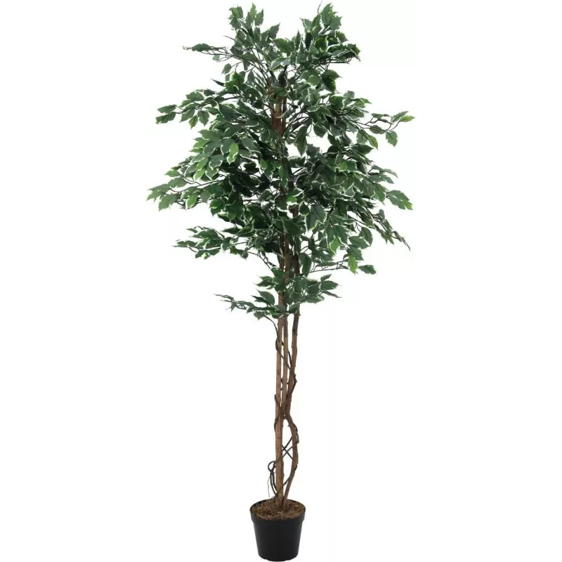EUROPALMS strieborný fikus Benjamina umelá rastlina, 180 cm 82506116